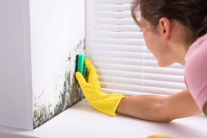 remove mold from a slope