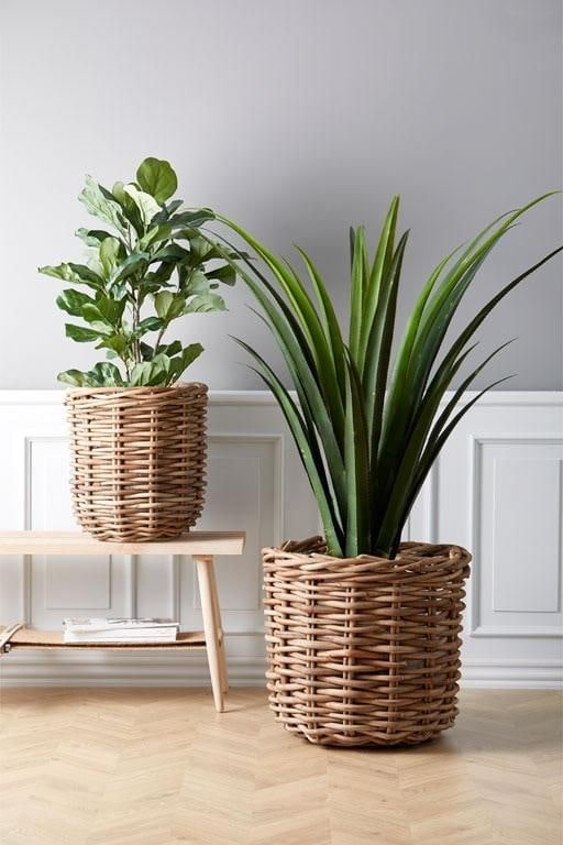 Baskets-planters