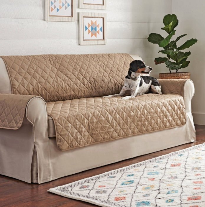 functional bedspread for a sofa in the interior