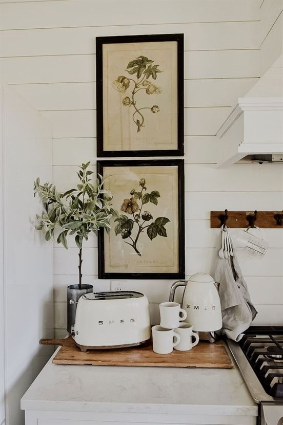 botany posters