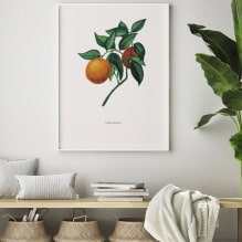How to decorate walls with posters?-5