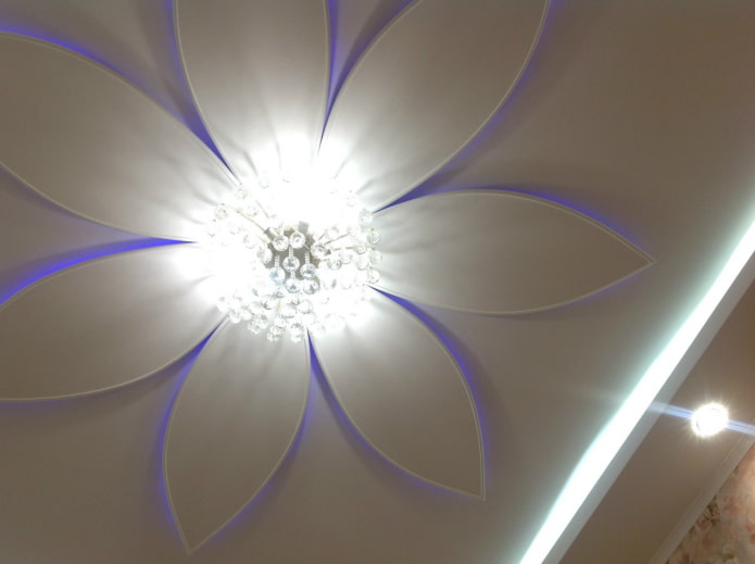 flower shaped plasterboard construction