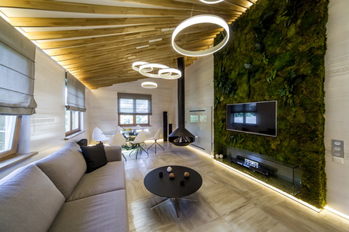 ceiling in the attic