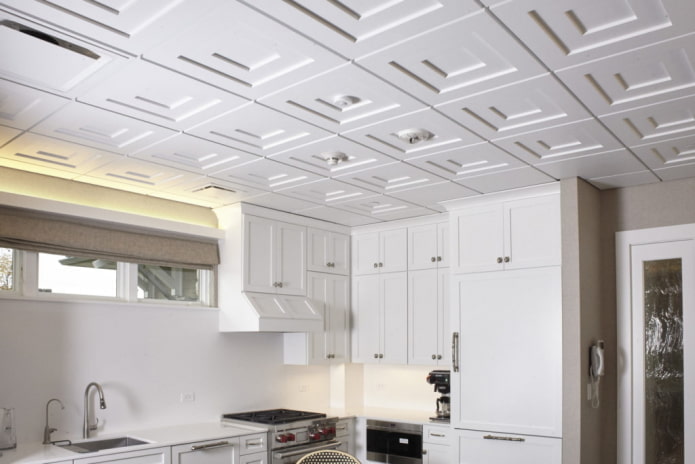 tiles on the ceiling in the kitchen interior