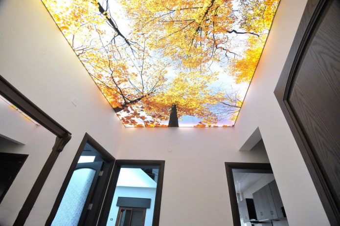 ceiling with photo printing in the interior of the hallway