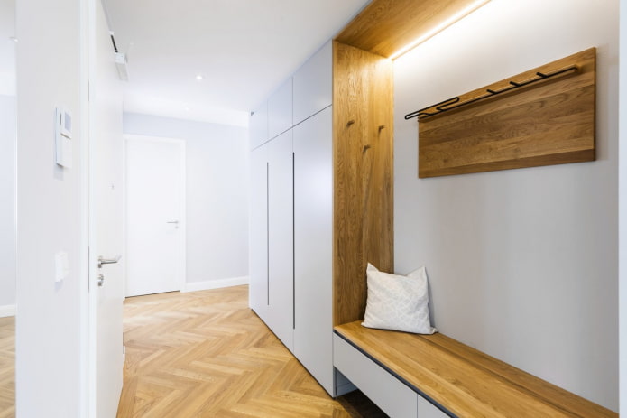 hallway design in a modern style