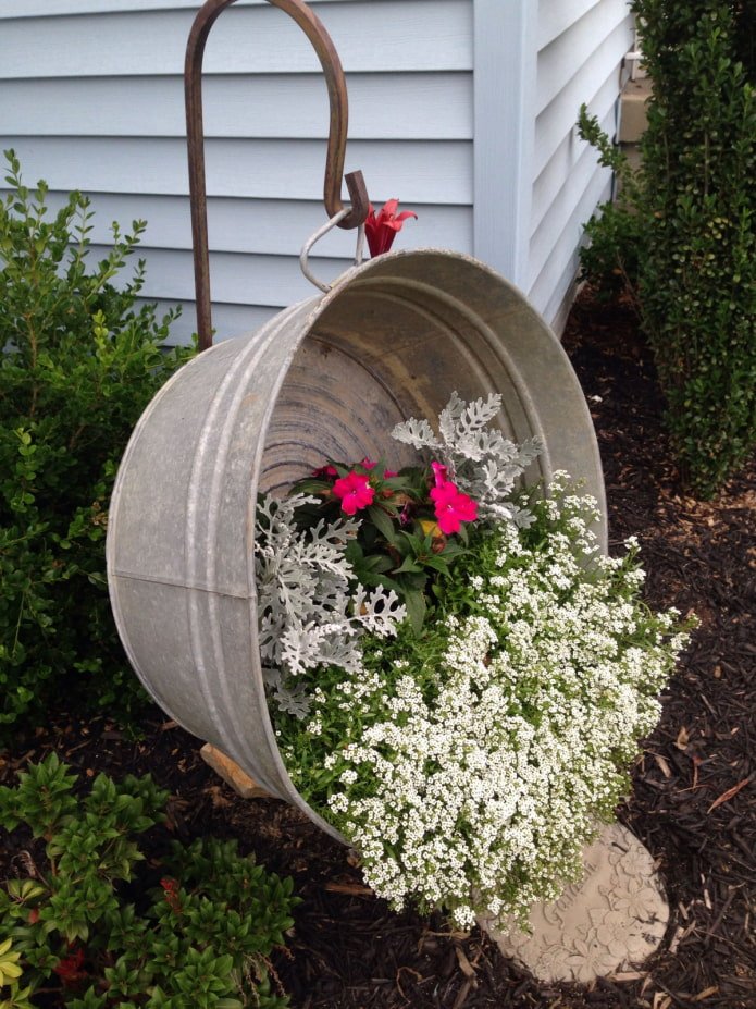 Flowers in a trough
