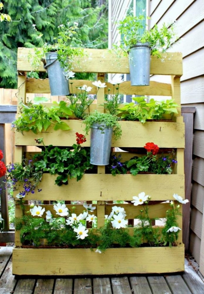 Flowers in a pallet