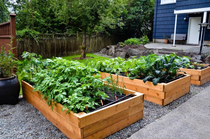 Borders for beds