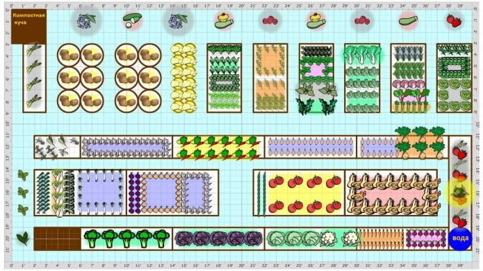 garden plan
