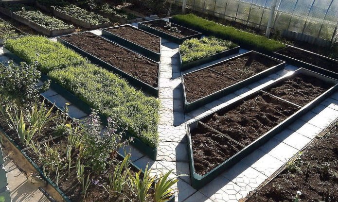diagonal path in the garden