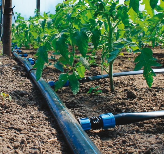 drip irrigation system