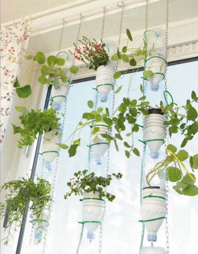 Bottles for seedlings
