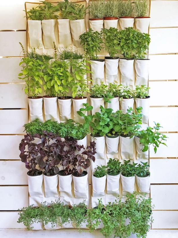 Seedlings in pockets