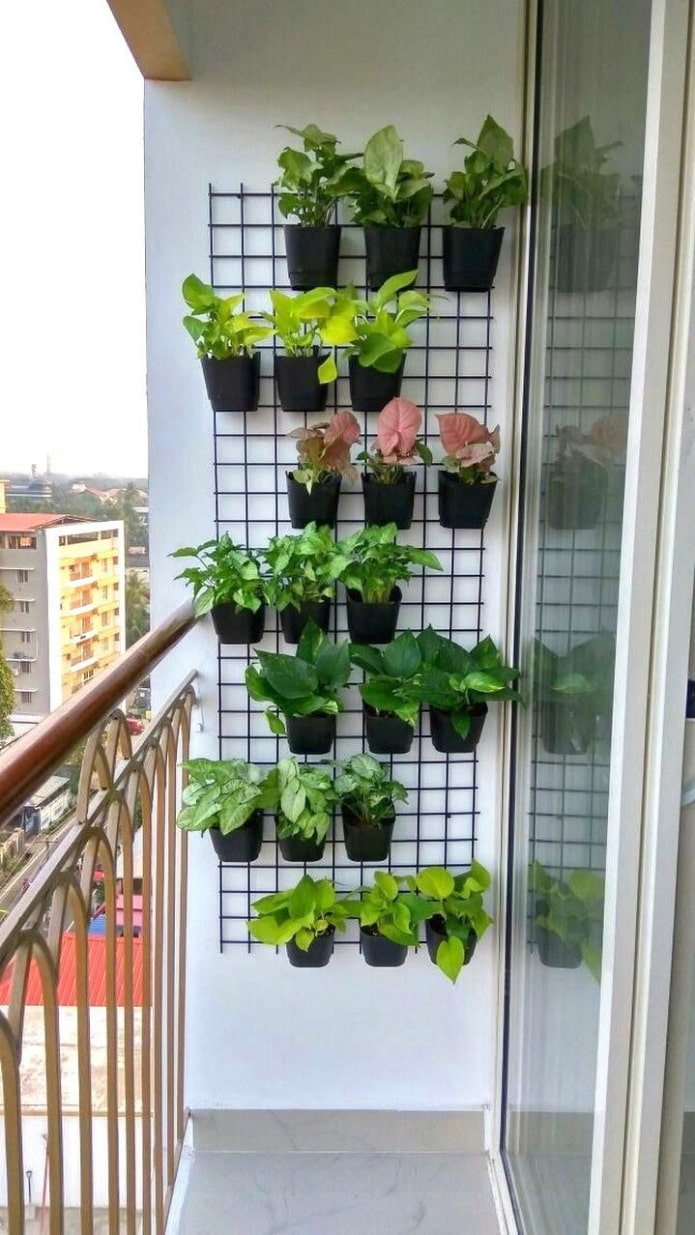 Pots on a lattice