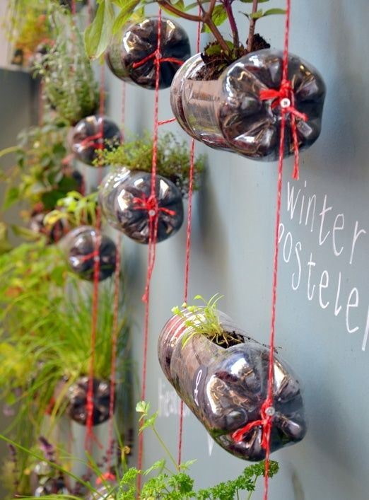 Horizontally suspended bottles