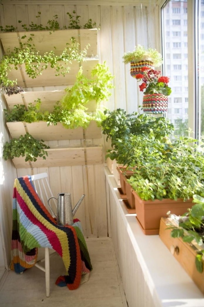Seedlings in boxes vertically