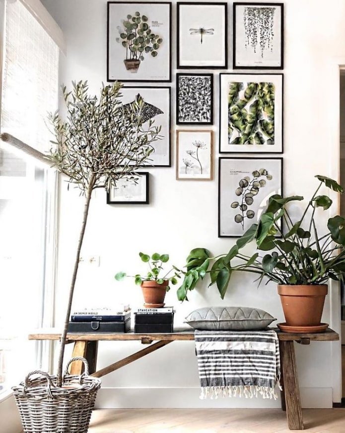 Flowers and posters