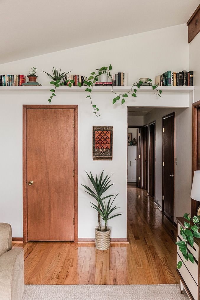 Plants on a shelf under the ceiling