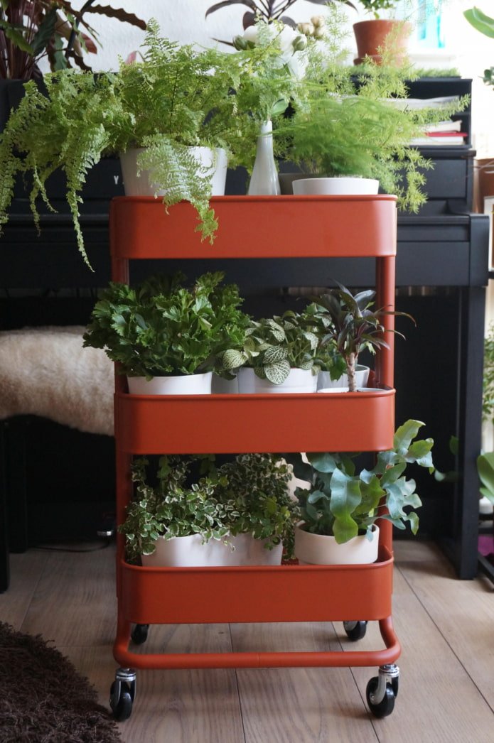 Plants on a cart