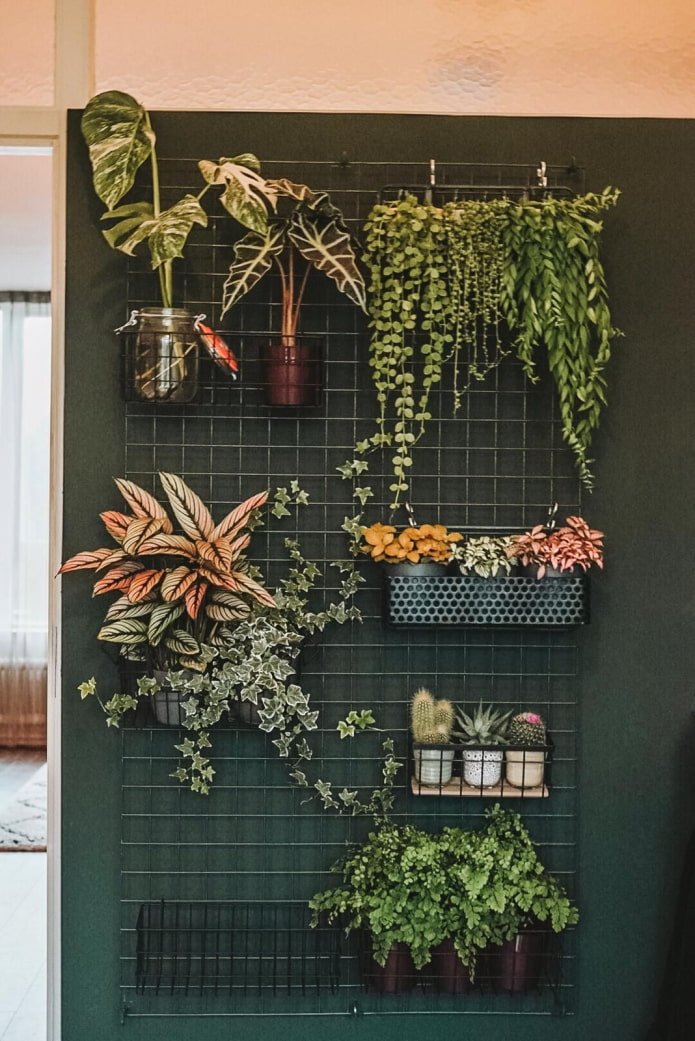Flowerpot on a lattice