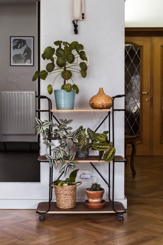 Bar cart with flowers