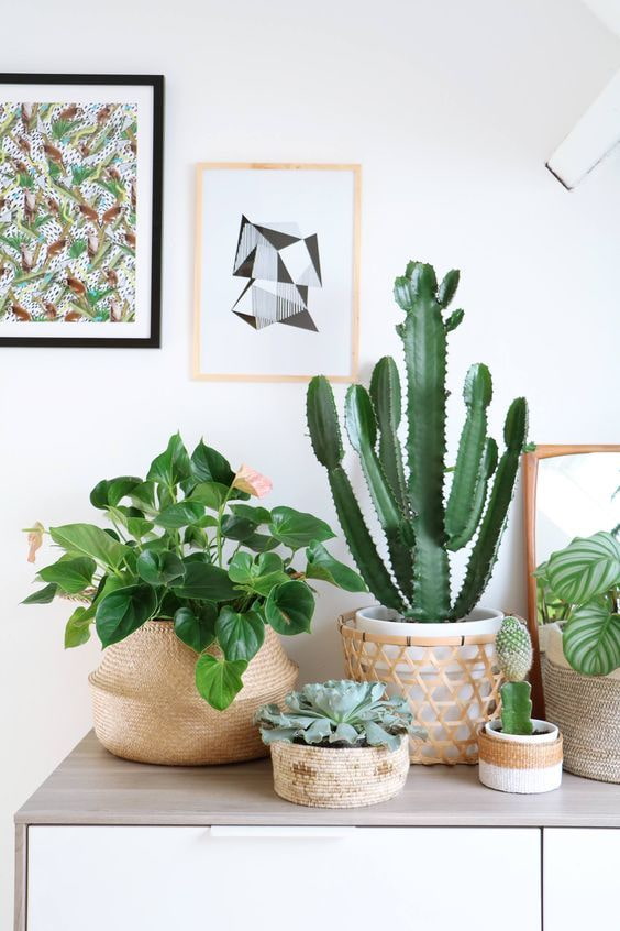 Wicker baskets 