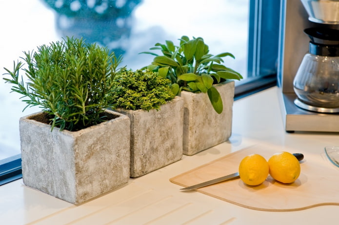 herbs in the kitchen