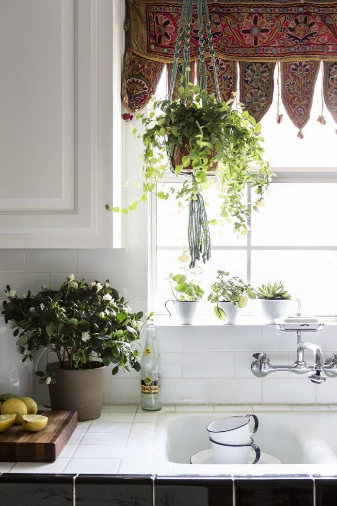 hanging flowers