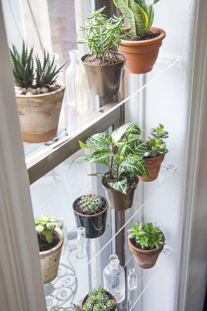 window shelves for flowers