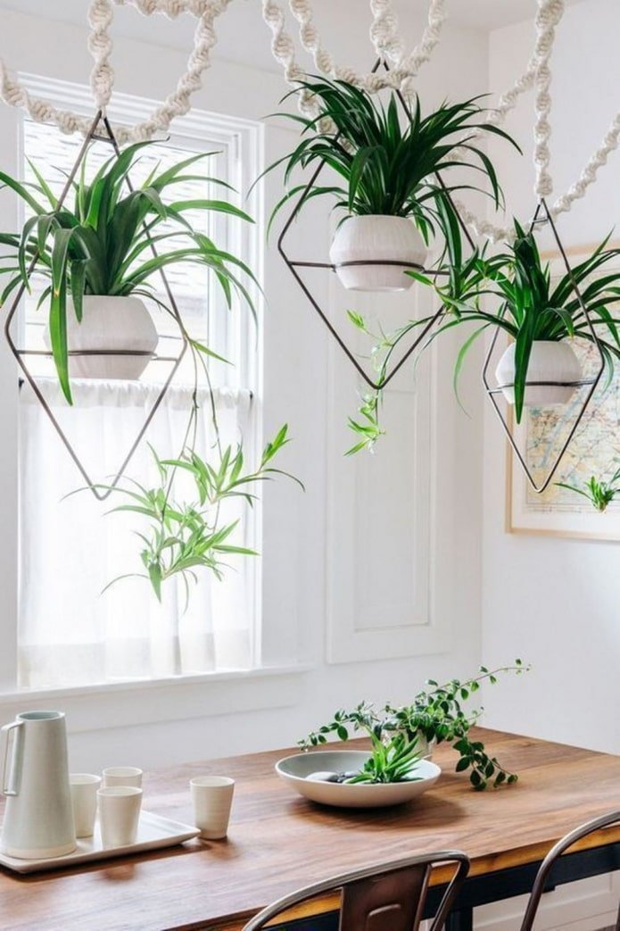 flowers hanging above the dining table
