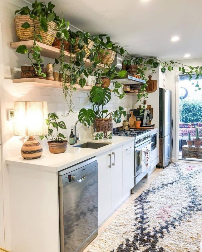 lots of flowers in the kitchen