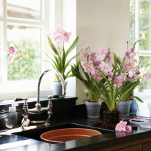 What plants can be used in the kitchen?-0