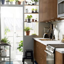 What plants can be used in the kitchen?-4