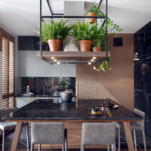 What plants can be used in the kitchen?-5