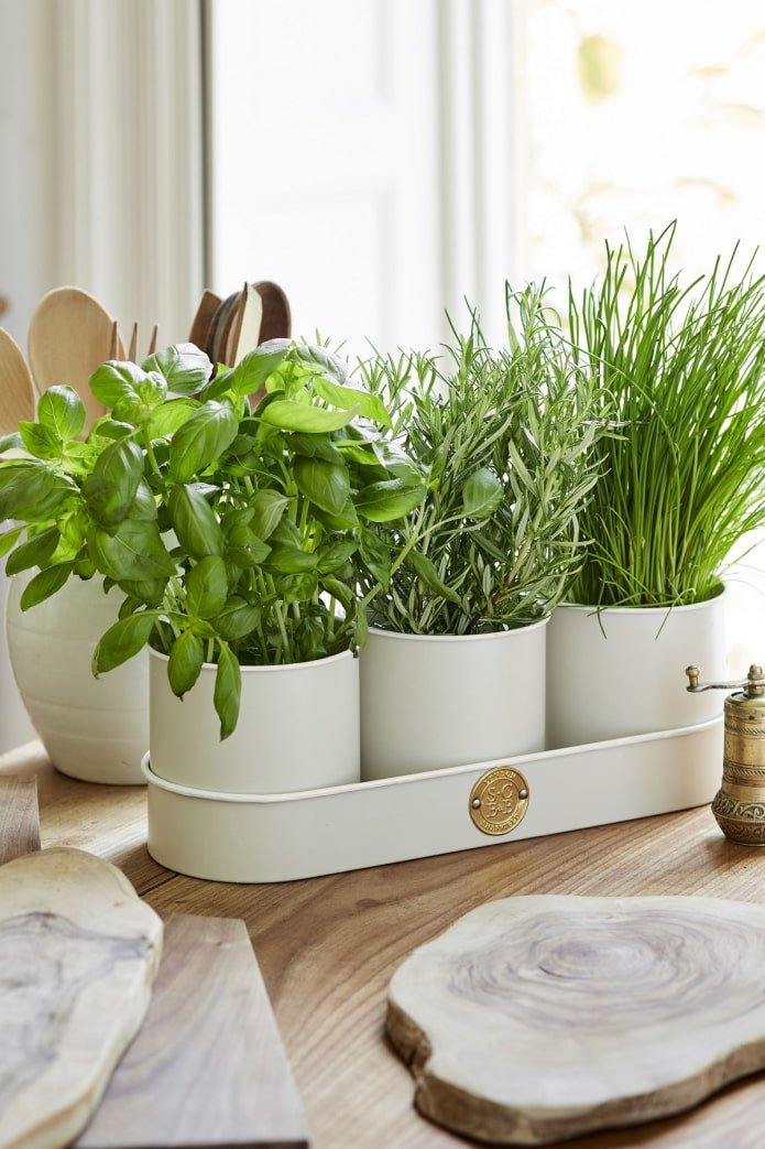 Greens in the kitchen