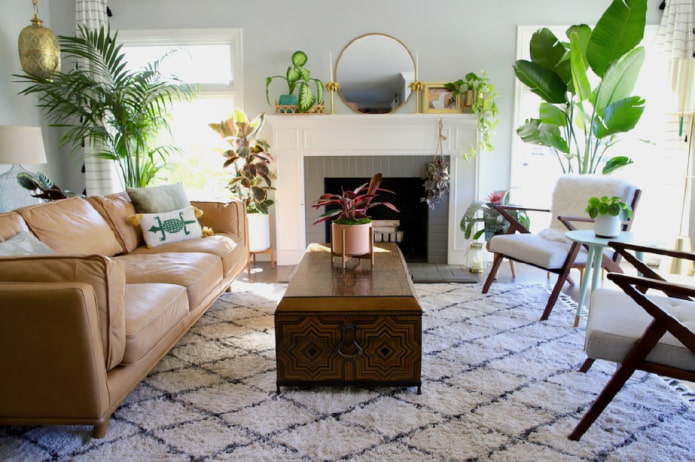 Plants in the interior