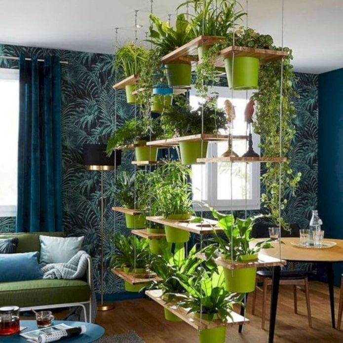 Low-growing plants in the interior