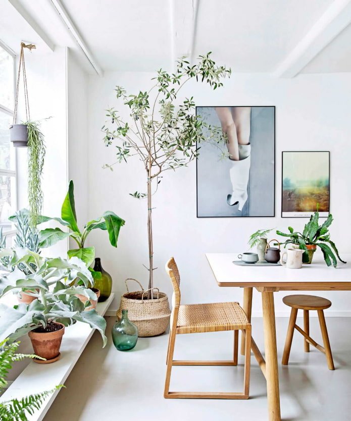 Decorating the interior with plants