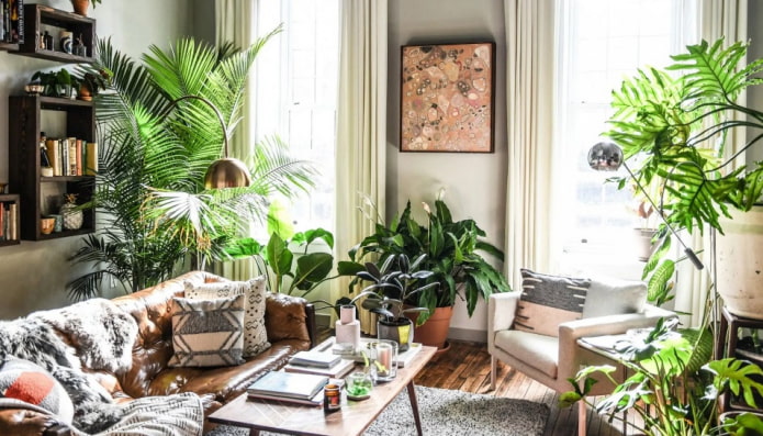 Plants around the perimeter of the room