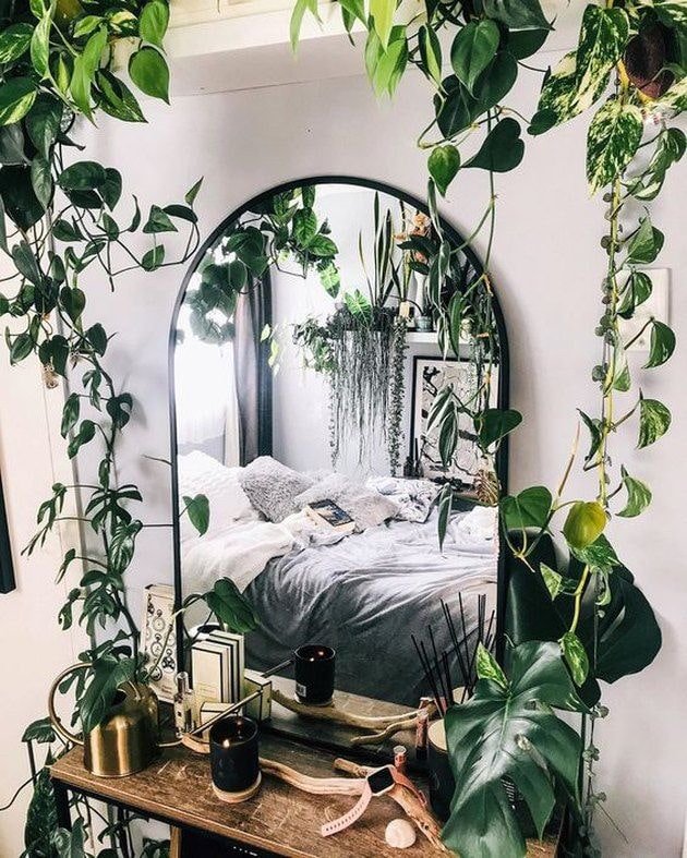 Highlighting a mirror with plants