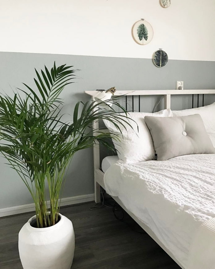 Plants in the bedroom