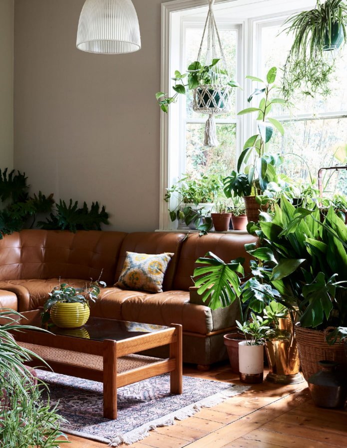 Plants in the living room interior