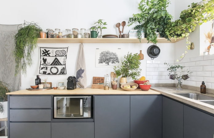 Plants in the kitchen interior