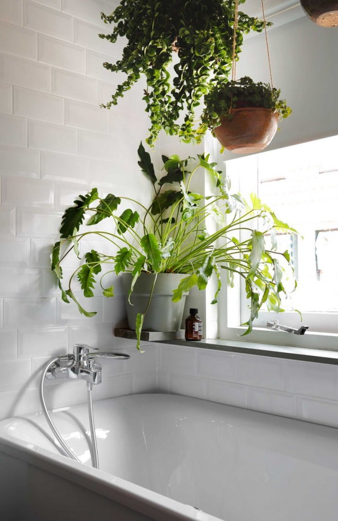 flowers above the bathtub