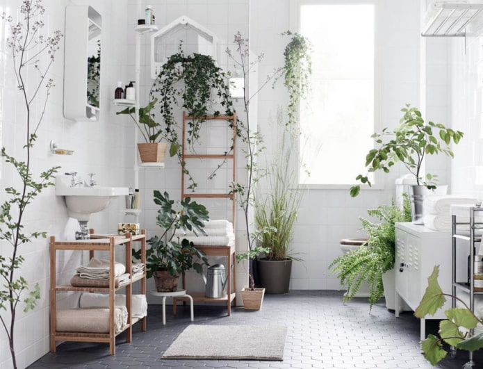 many plants in the bathroom