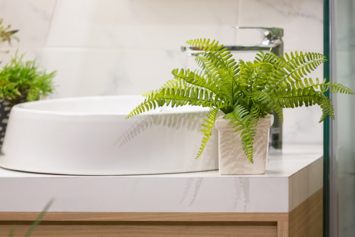 fern for the bathroom