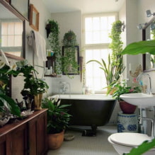 Plants for the bathroom-0