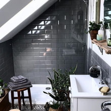 Plants for the bathroom rooms-1