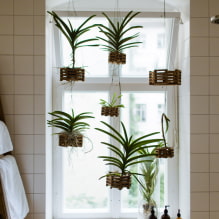 Plants for the bathroom-4